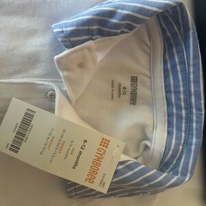 Gymboree Baby Blue Striped Shirt